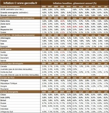 Inflation par pays en janvier 2011 : l’inflation mondiale progresse mais reste contenue Inflation par pays en janvier 2011 : l’inflation mondiale progresse mais reste contenue