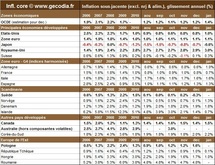 Inflation par pays en janvier 2011 : l’inflation mondiale progresse mais reste contenue Inflation par pays en janvier 2011 : l’inflation mondiale progresse mais reste contenue