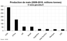 Les principaux producteurs de maïs dans le monde