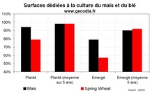 Les cultures de blé toujours très perturbées aux US, la situation normalisée pour le maïs