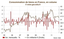 Consommation des ménages en France : 2011, année de stagnation