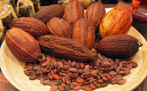 Positions Spéculatives Cacao