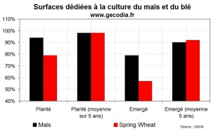 Les cultures de blé toujours très perturbées aux US, la situation normalisée pour le maïs