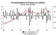 Consommation des ménages en France en juin 2010 : forte chute