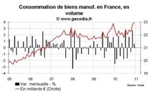 Consommation des ménages France décembre 2010 : les voitures au détriment du reste