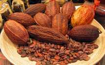 Positions Spéculatives Cacao